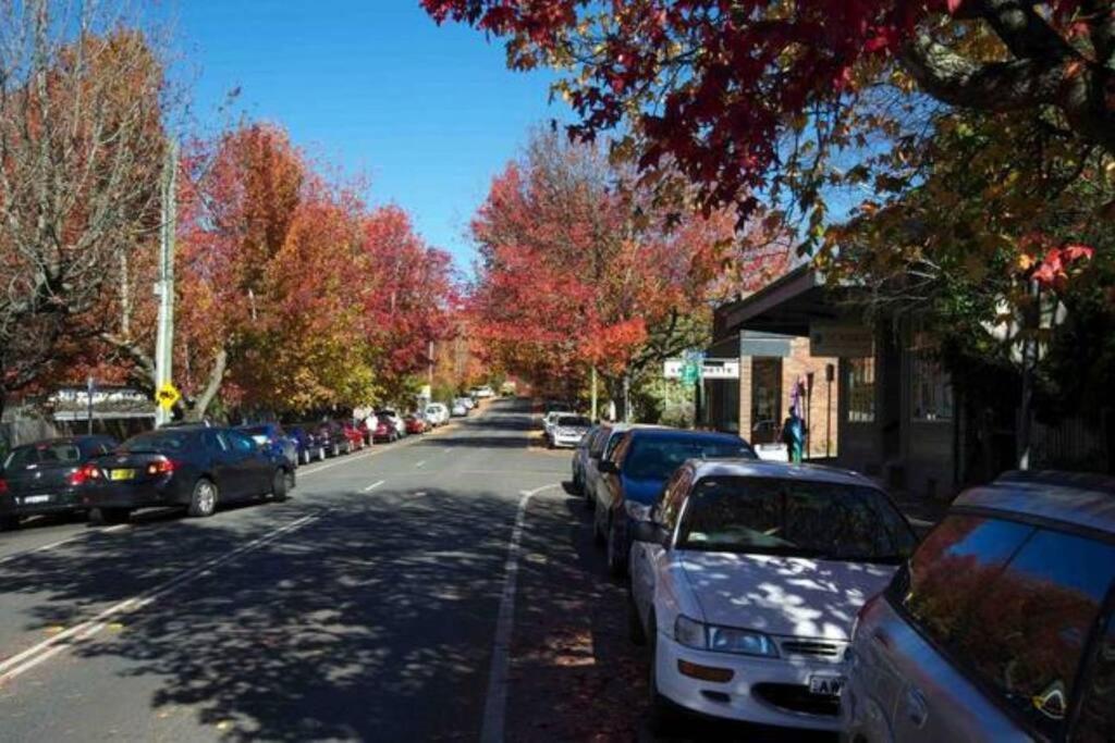 Nuach Cottage - Beautiful Family Home In Leura Esterno foto